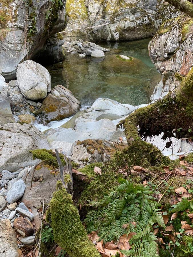 Вилла La Bergerie Marie Saint-Aventin Экстерьер фото